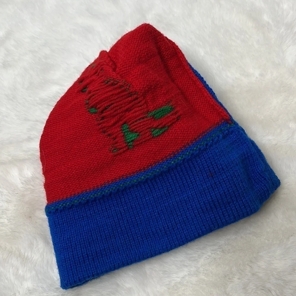 Vintage hat pom pom toboggan dinosaur